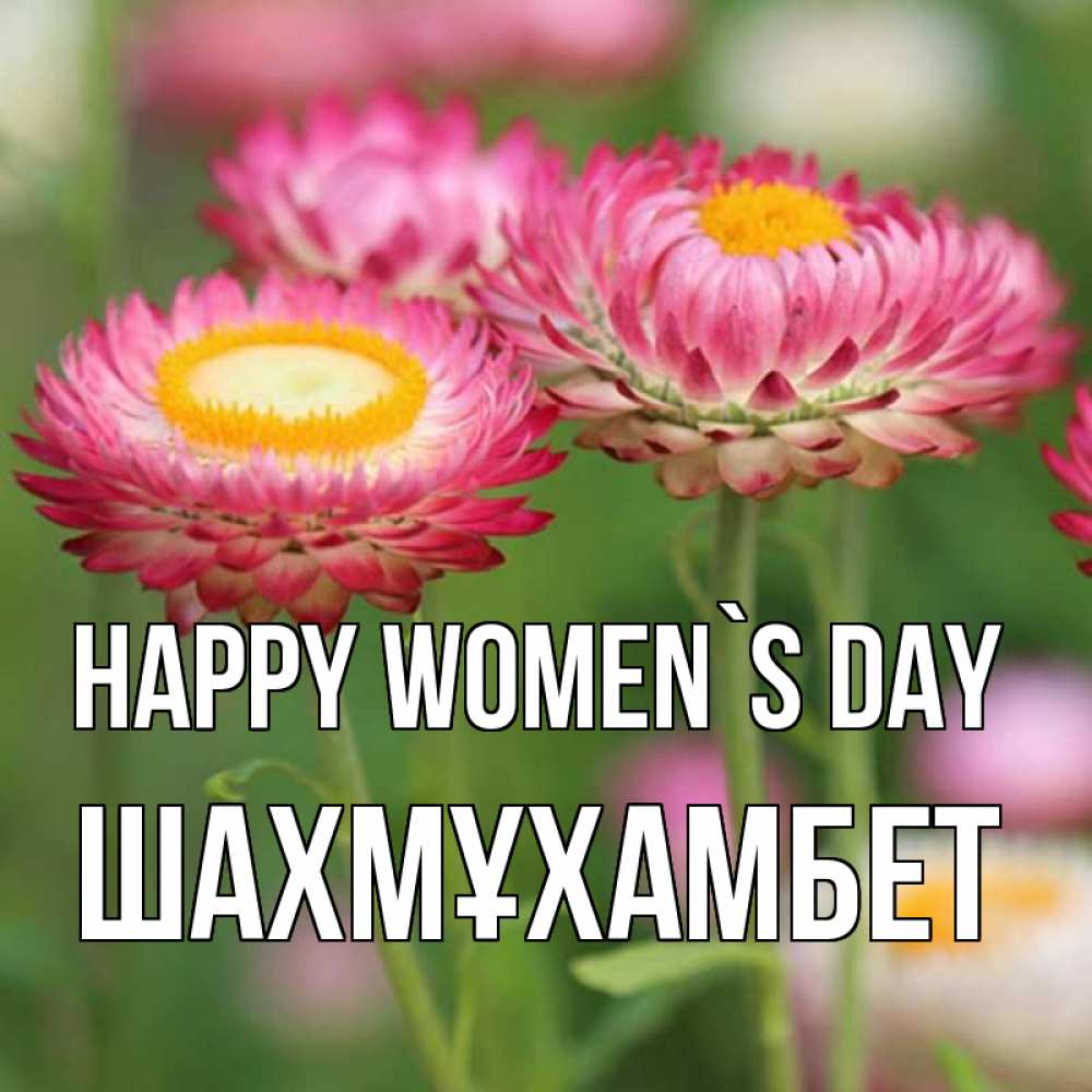 Greetings card с именем, ШАХМҰХАМБЕТ happy women`s day подарок на международный женский день Greetings with text for free download 